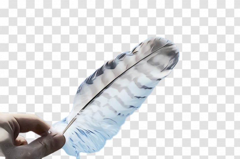 Feather - Wet Ink - Fashion Accessory Writing Implement Transparent PNG