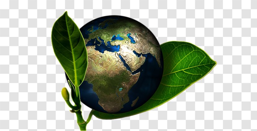 Global Warming Natural Environment Carbon Footprint Sustainability Greenhouse Gas - Green Earth Transparent PNG