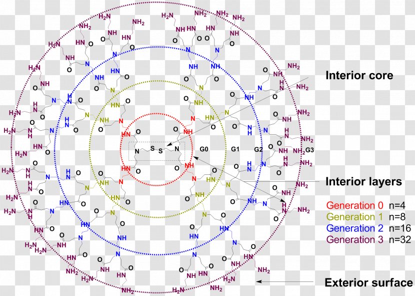 Drawing Circle Point Angle /m/02csf - Symmetry - Drug-delivery Transparent PNG