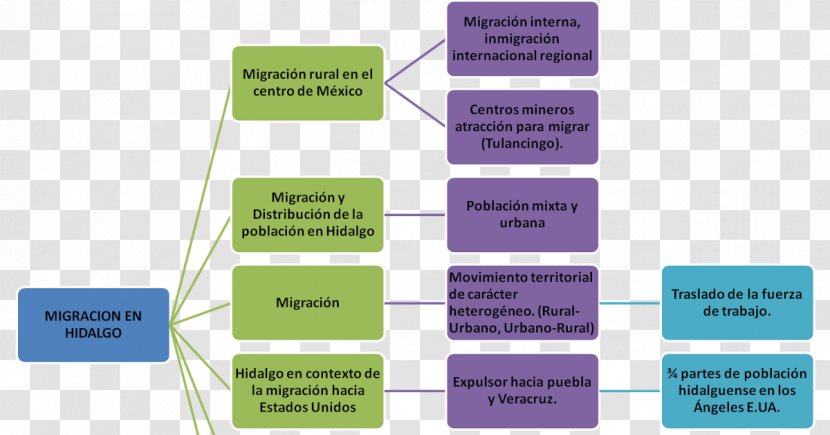 Concept Map Information Word Transparent PNG