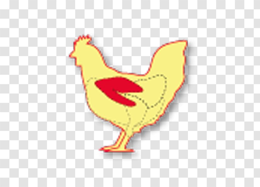 Rooster Chicken As Food Buffalo Wing - Bird Transparent PNG
