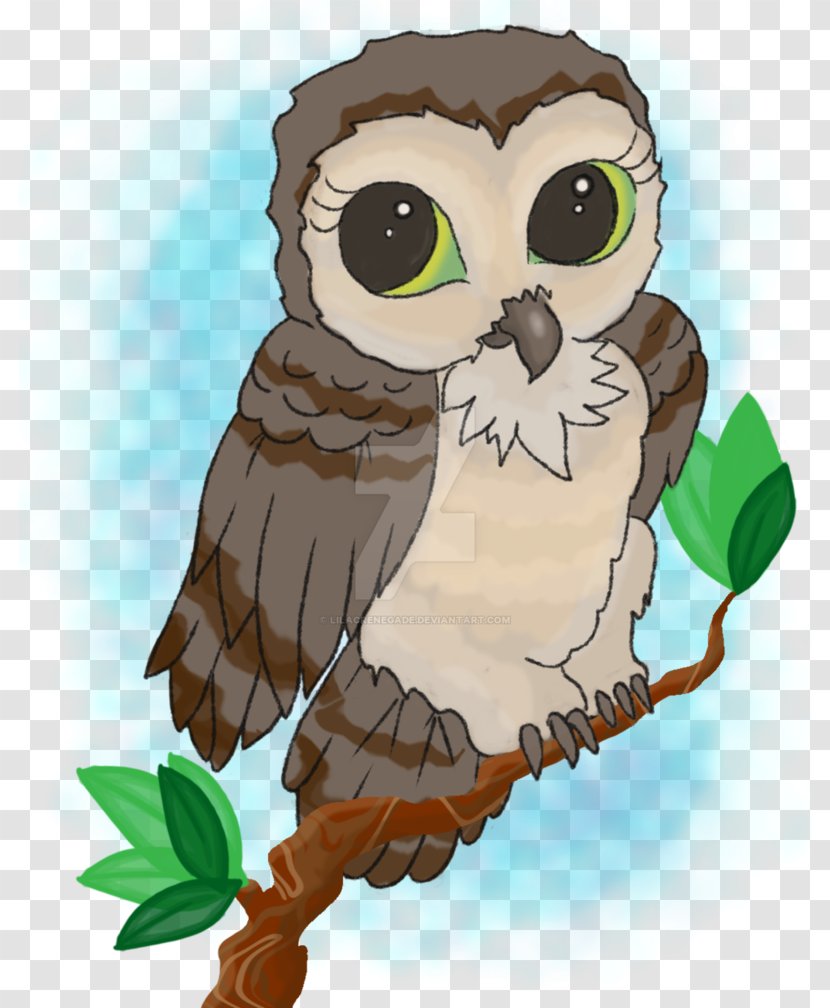 Owl Beak Bird Feather Transparent PNG