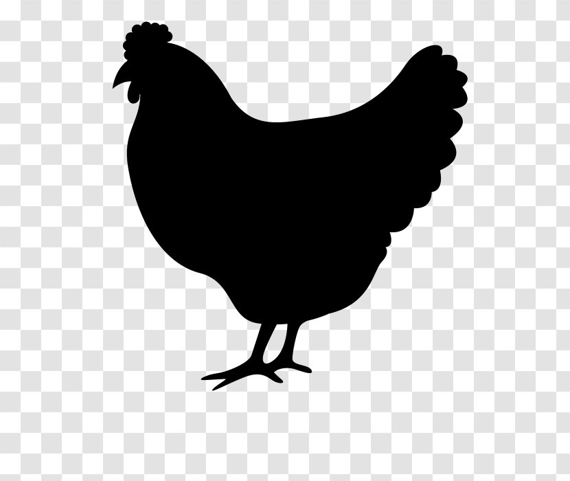 Fried Chicken - Fowl - Blackandwhite Poultry Transparent PNG