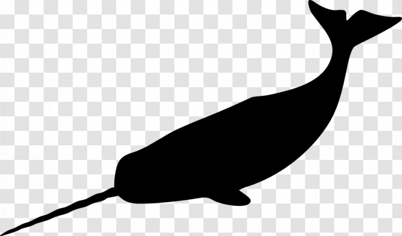 Narwhal Whale Drawing Clip Art - Beak Transparent PNG