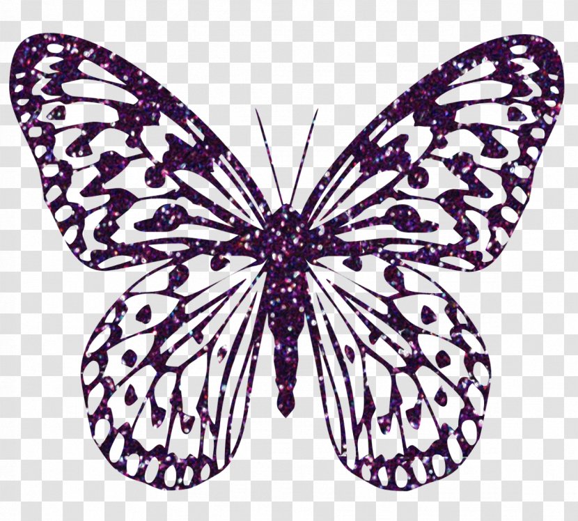 Butterfly Color Clip Art - Moth - Buterfly Transparent PNG
