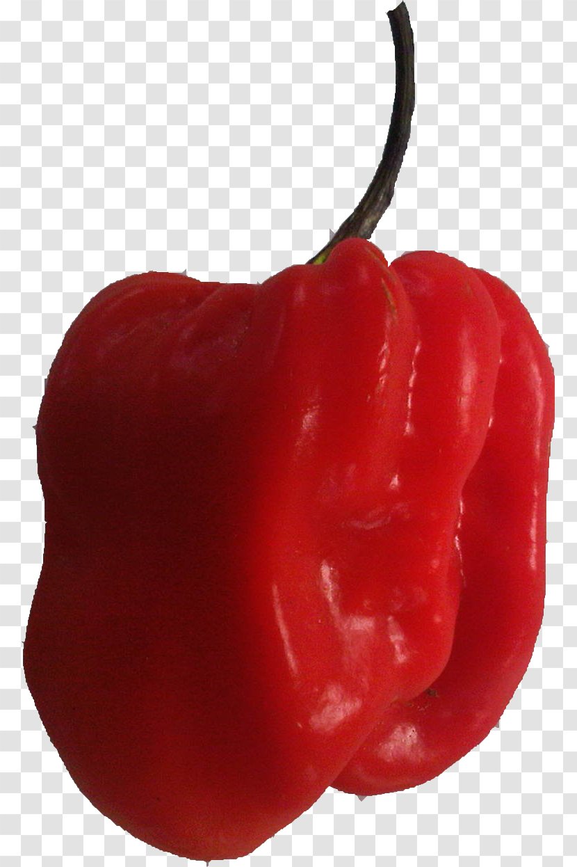 Habanero Tabasco Pepper Cayenne Bell Malagueta - Food - Bhut Jolokia Transparent PNG