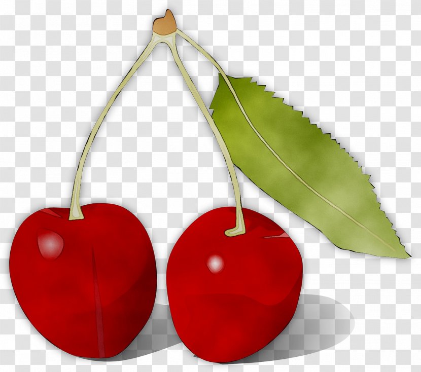Clip Art Image Life Savers 5 Flavors Hard Candy Lifesavers Wild Cherry - Plant - Fruit Transparent PNG