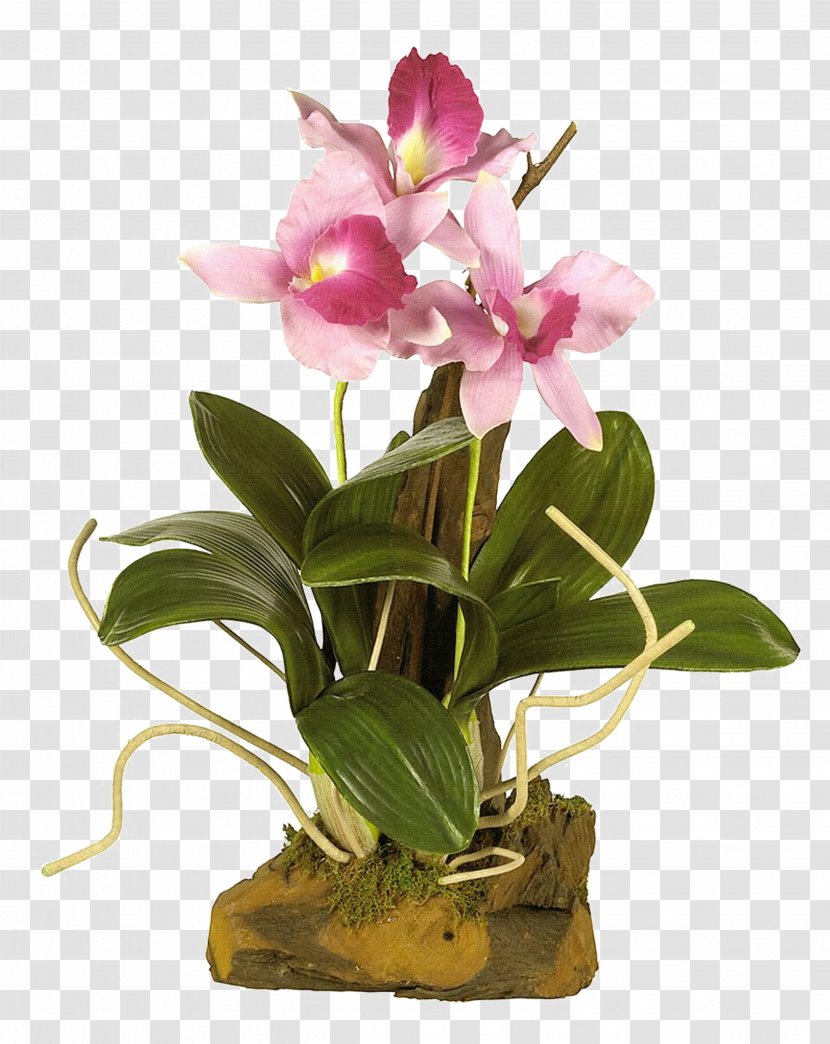 Flower Vase - Dendrobium - Violet Transparent PNG