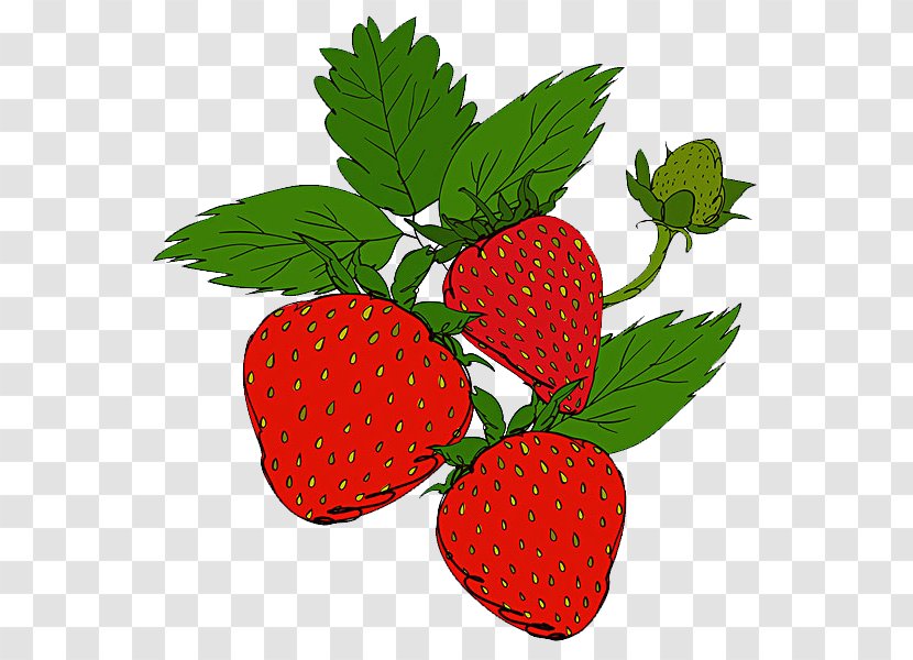 Ice Cream Strawberry Aedmaasikas Auglis - Fruit - Hand-painted Transparent PNG