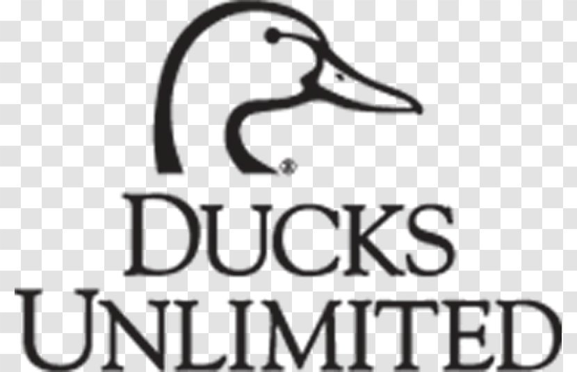 Logo Ducks Unlimited Brand Business Cards - Text - Duck Transparent PNG