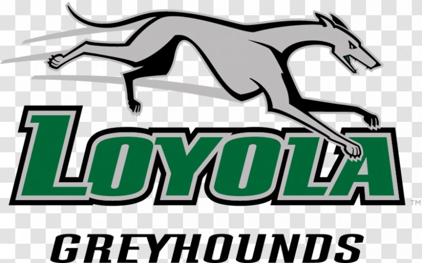 Loyola University Maryland Greyhounds Men's Basketball Of Maryland, College Park Lacrosse - Horse Transparent PNG