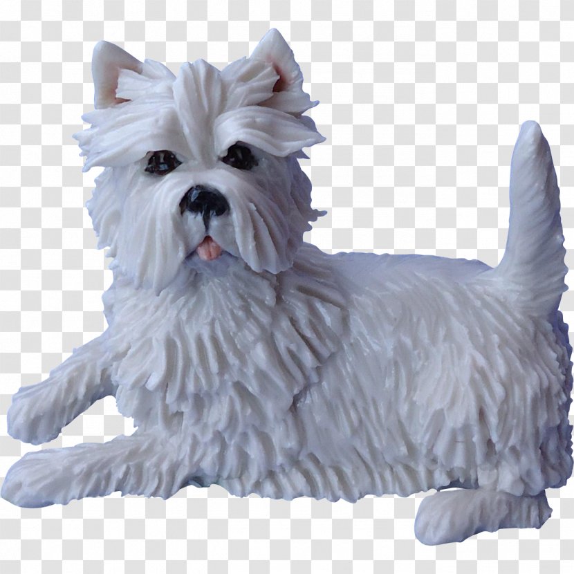 West Highland White Terrier Cairn Maltese Dog Companion Breed - Group - Small Transparent PNG