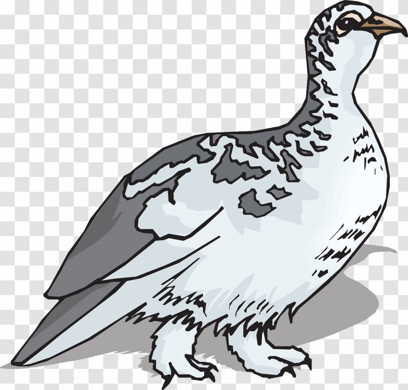 Bird Rock Ptarmigan Clip Art - Grouse - Gray Goose Transparent PNG
