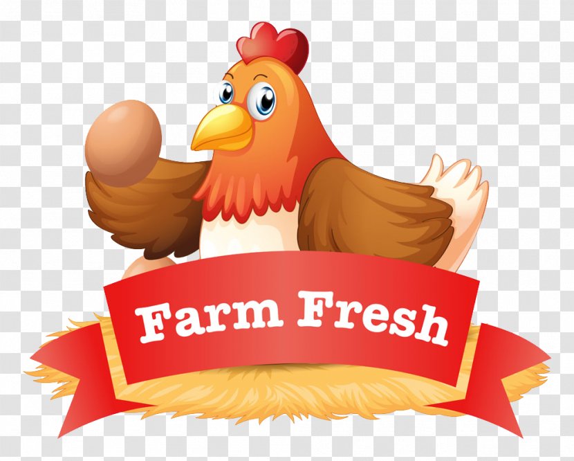 Chicken Fried Egg Poultry Farming Transparent PNG