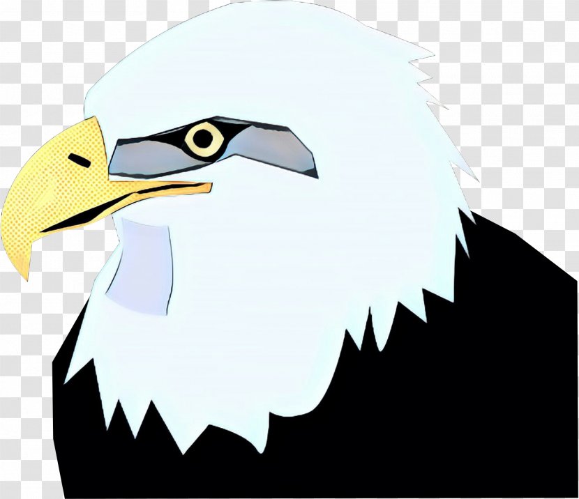 Bird Bald Eagle Beak Of Prey - Sea - Falconiformes Transparent PNG