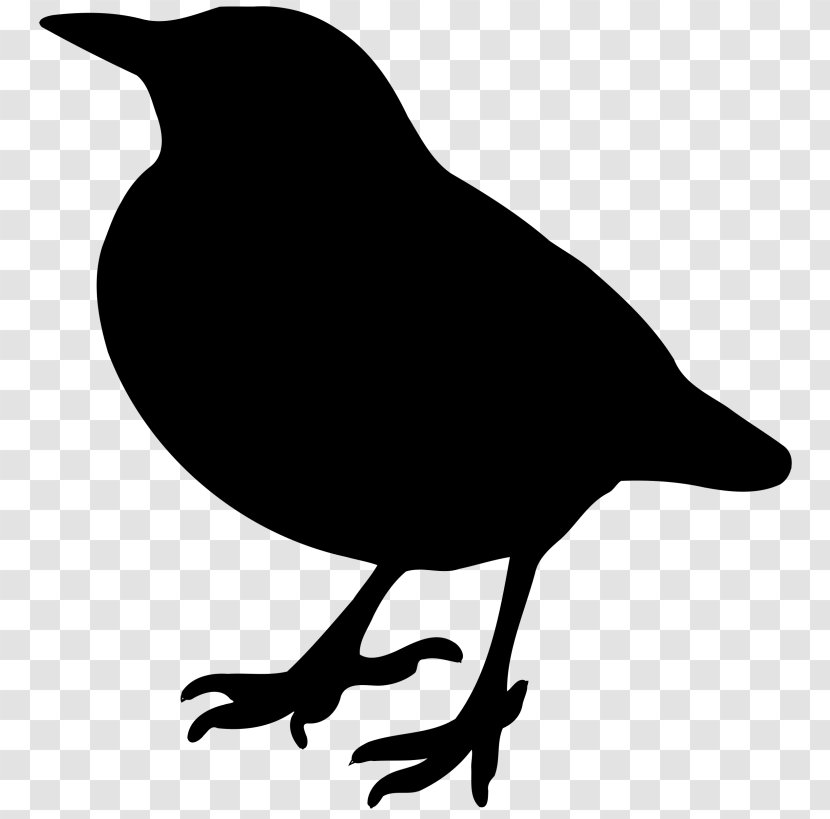American Crow Bird Silhouette Clip Art Transparent PNG
