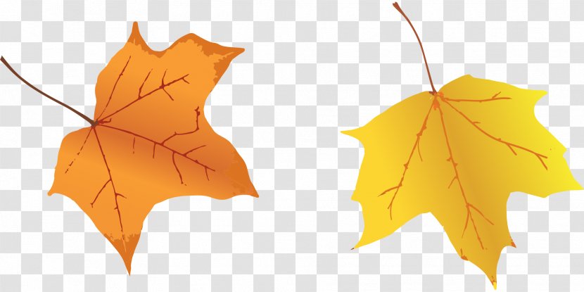 Autumn Leaf Clip Art - Royaltyfree - Leaves Transparent PNG