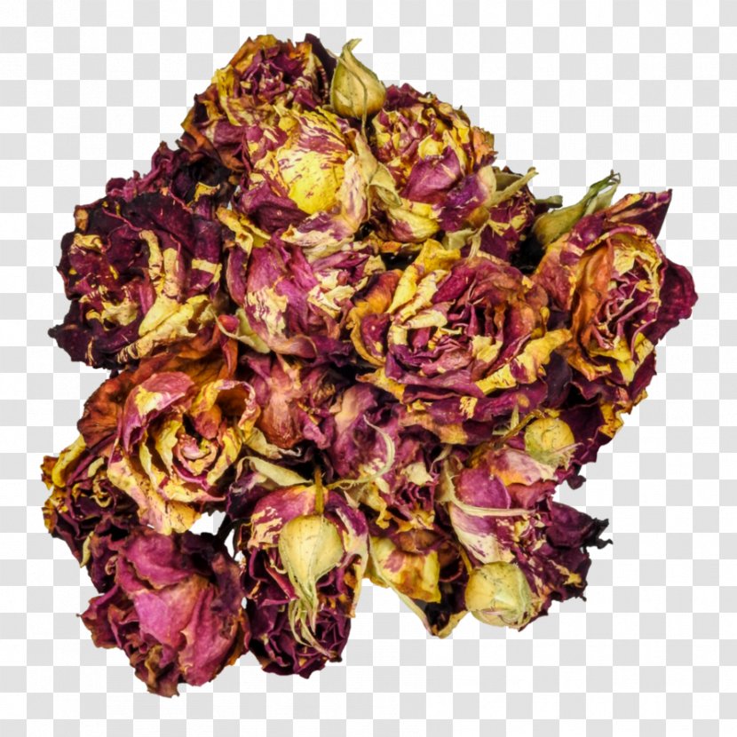Garden Roses Flower Bouquet Photograph Camera - Petal - Dead Transparent PNG