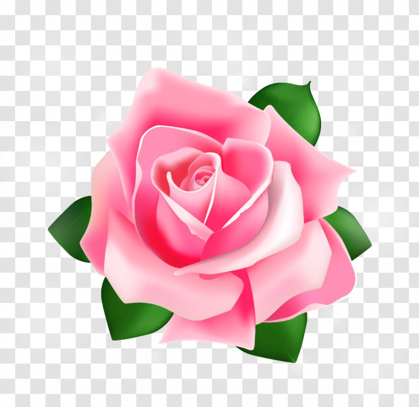 Rose Pink - Floral Design - Vector Transparent PNG