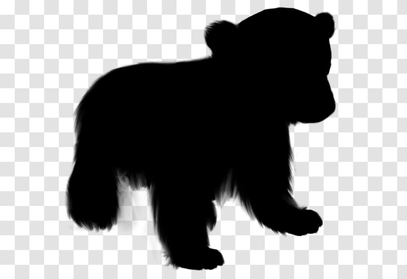 Bear Dog Mammal Canidae Fur - Carnivore Transparent PNG