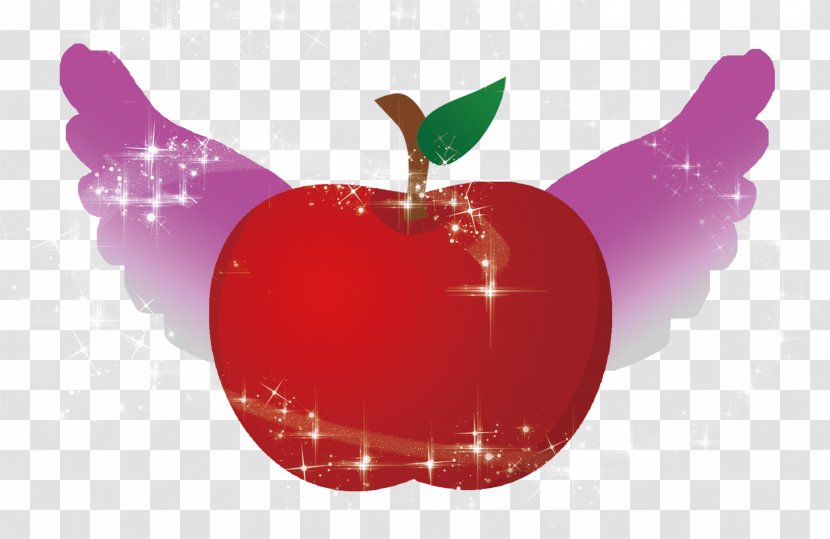 Apple Christmas Eve - Computer - Red Transparent PNG