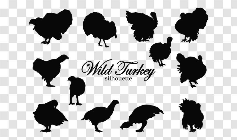 Black Turkey Silhouette Rooster Clip Art - Fauna - Thanksgiving Vector Transparent PNG