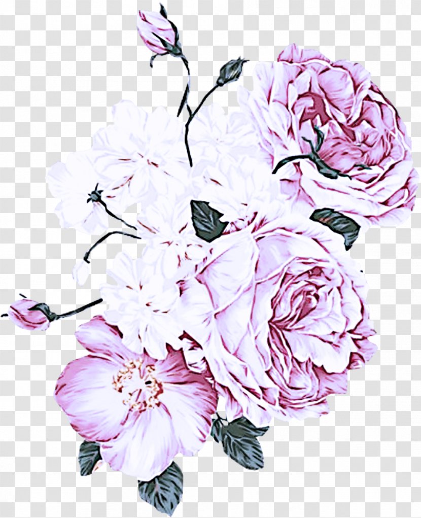 Rose - Flower - Family Transparent PNG