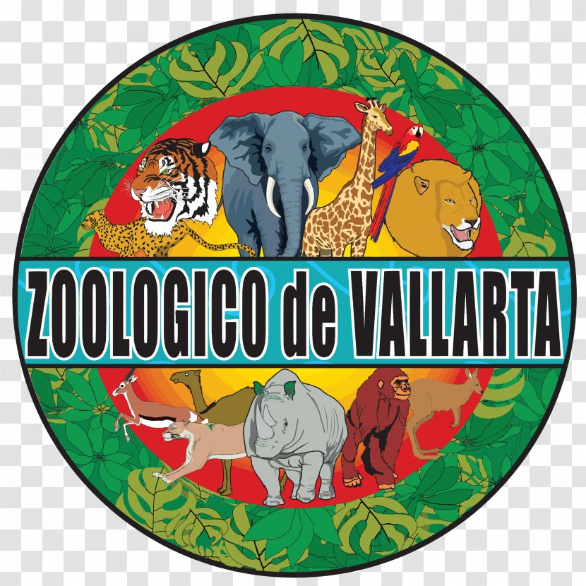 Puerto Vallarta Mismaloya Zoologico De AC Zoo - Recreation - Peafowl Transparent PNG