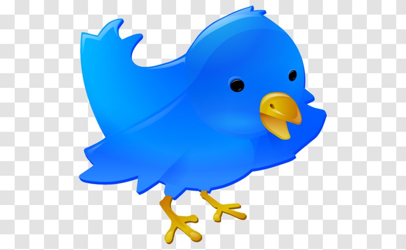 Professional Web Design Development Social Media Button - Bird - Blue Transparent PNG