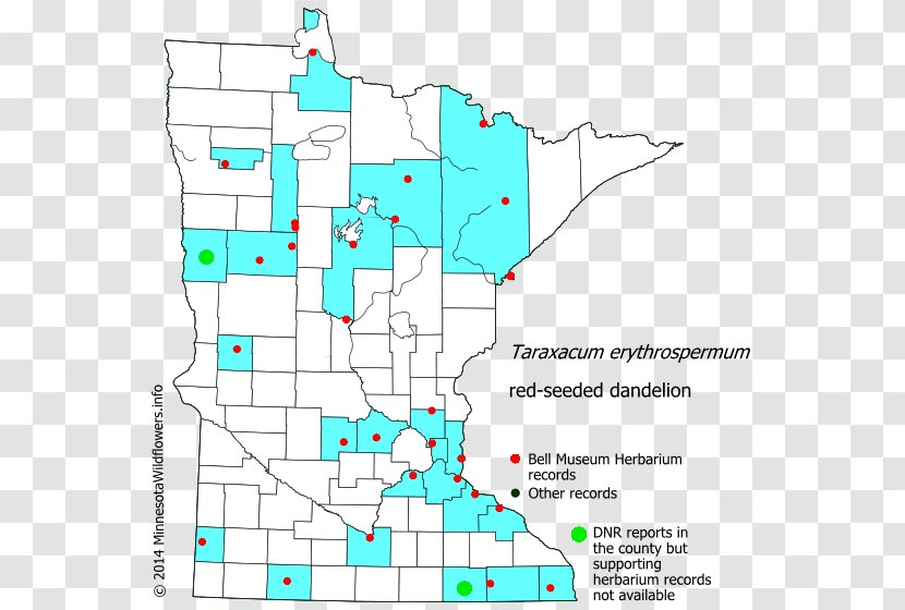 Minnesota Line Point Land Lot Diagram Transparent PNG