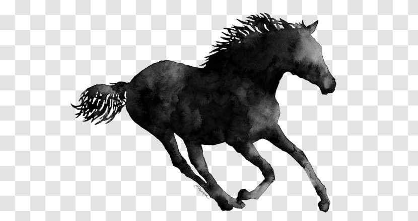 Mustang Mane Stallion Shetland Pony - Arabian Horse - Fine Transparent PNG