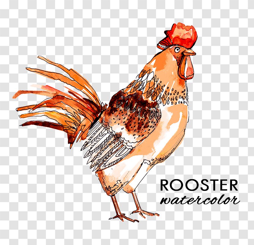 Rooster Chicken Flower Icon - Bird - Cock Transparent PNG