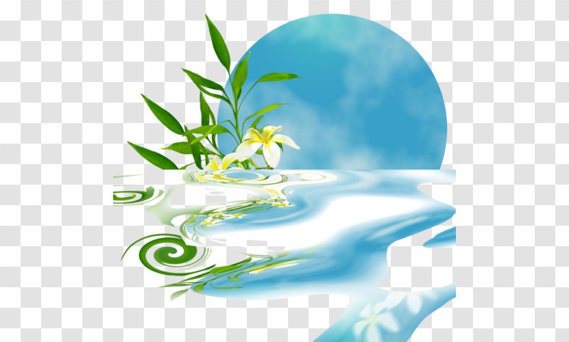 Frangipani Flower Petal Clip Art - Energy Transparent PNG