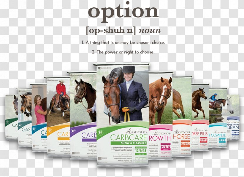 Horse Equine Nutrition Cargill Stable Animal Feed - Brand Transparent PNG