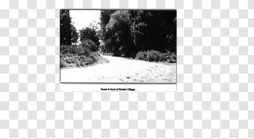 Paper Stock Photography Land Lot - Area - Village Road Transparent PNG