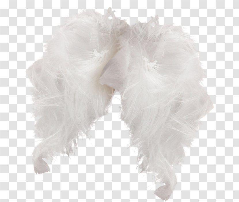 Feather - White - Fur Transparent PNG
