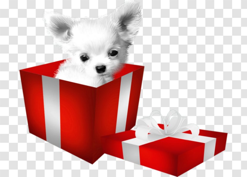 Pomeranian Puppy Dog Breed Clip Art - Group Transparent PNG