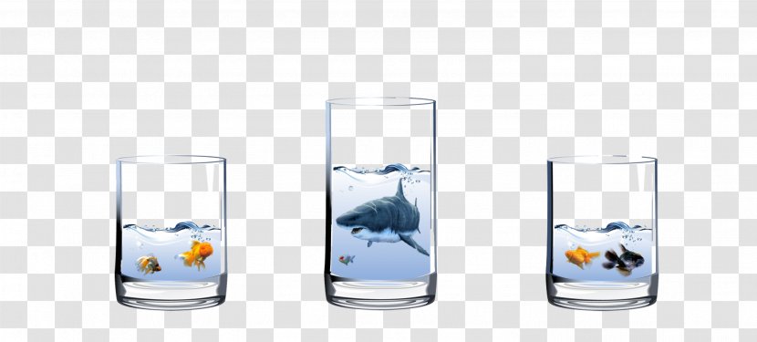 Highball Glass Water Cup - Tableware - Containing Fish Transparent PNG