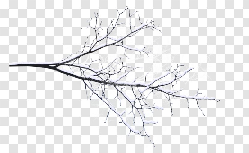Twig Branch Image Tree - Snow Question Transparent PNG