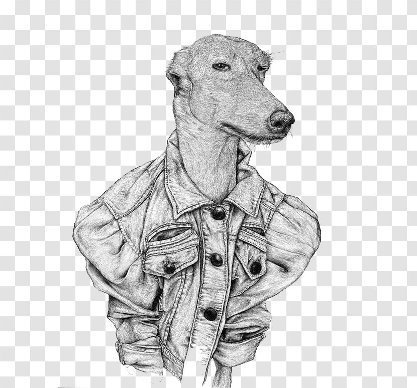 Drawing Art Creative Work Painting Illustration - Sketch Illustrator Dog Character Transparent PNG