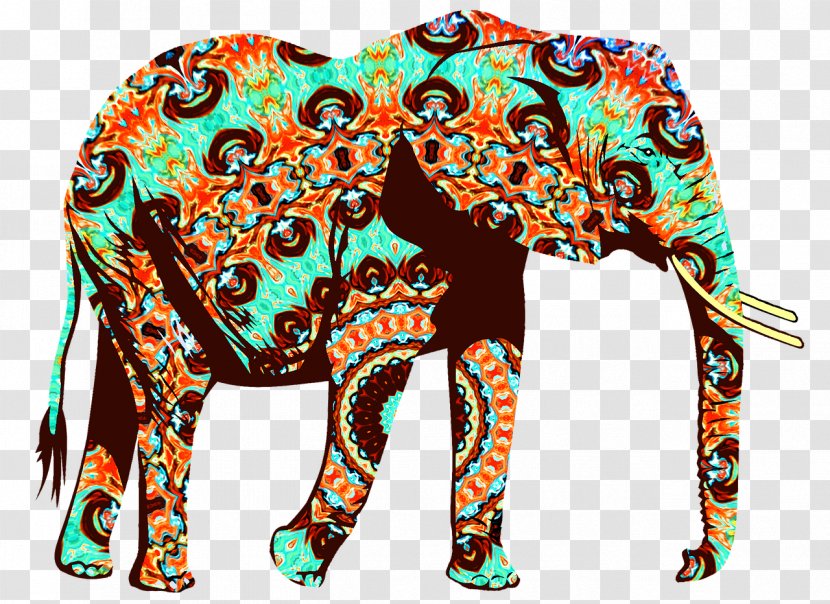 African Bush Elephant Felidae - Elephants Transparent PNG