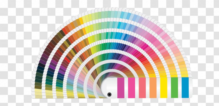 Pantone Color Corporate Design Printing - Paint Transparent PNG