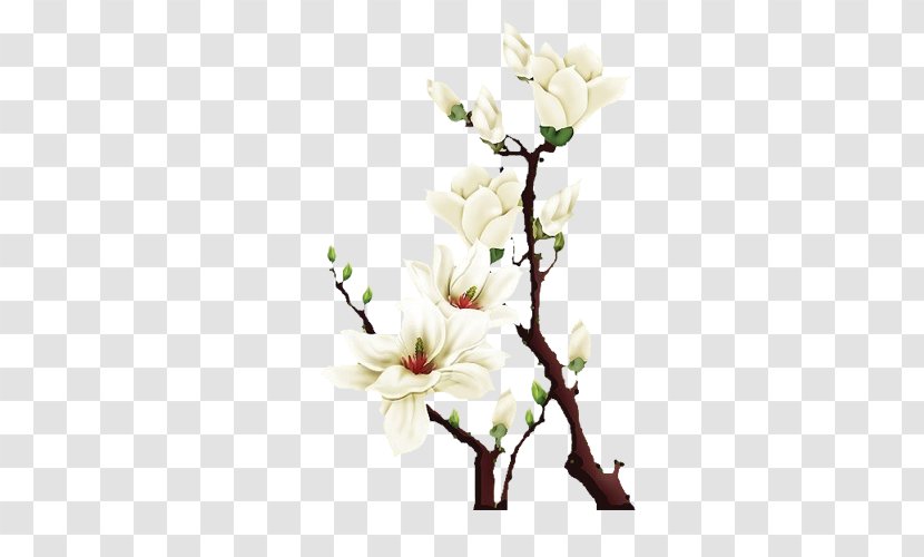 Floral Design Petal Flower White - Spring - Flowers Transparent PNG