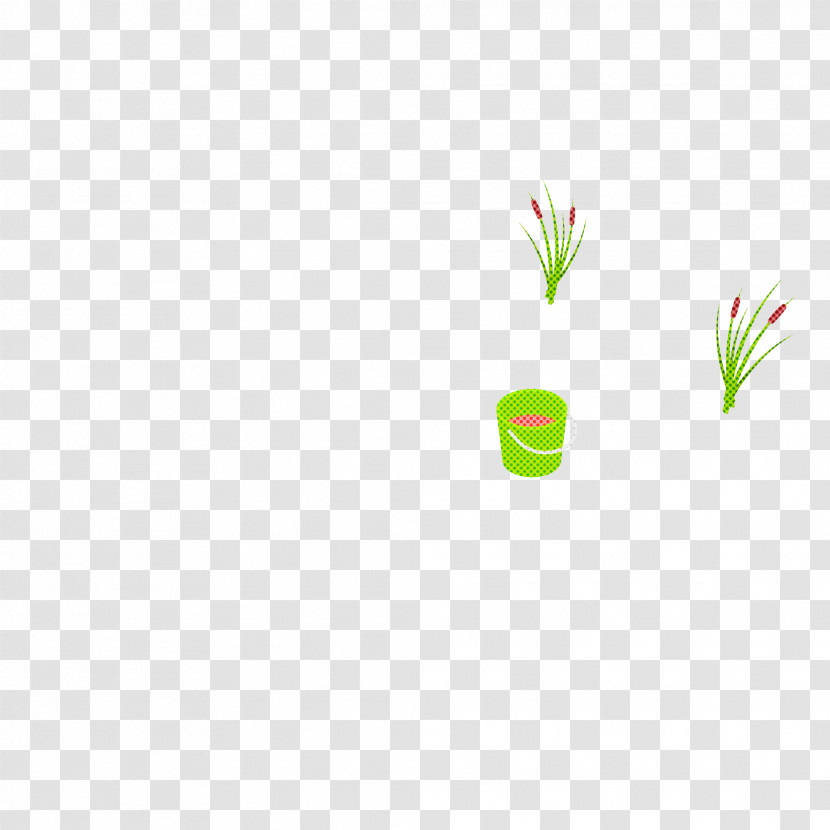 Flower Plant Stem Grasses Petal Leaf Transparent PNG