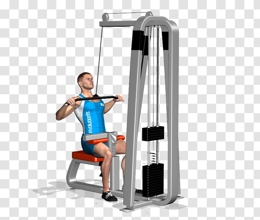 Shoulder Pulldown Exercise Latissimus Dorsi Muscle - Heart Transparent PNG