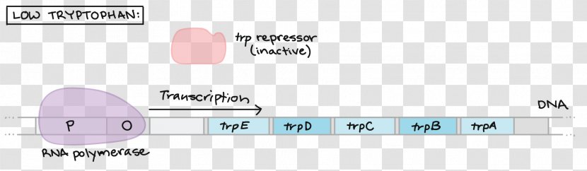 Logo Document Line - Diagram - Design Transparent PNG