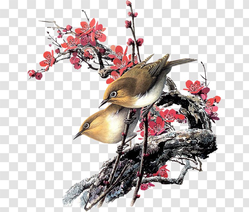 Bird Oil Painting - Branch Transparent PNG