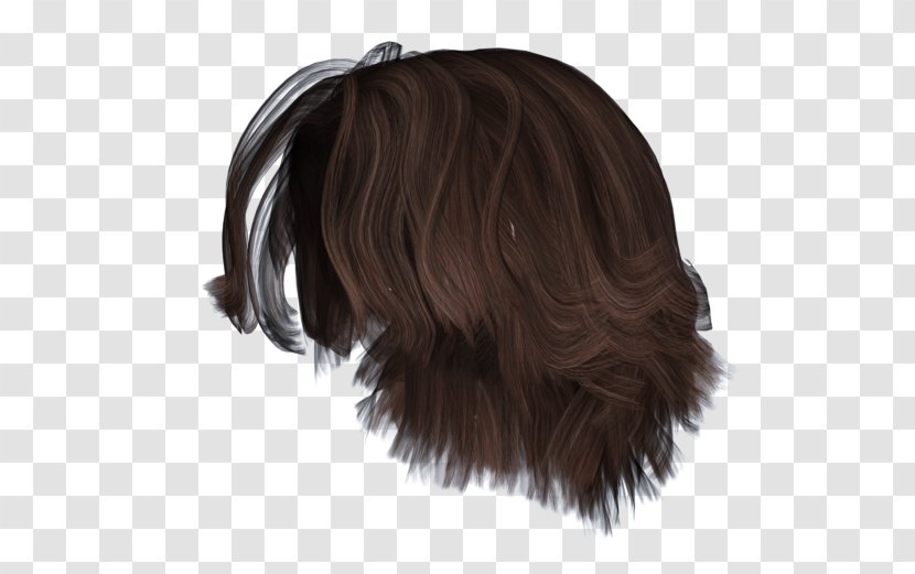 Hairstyle Wig Bun Brown Hair - Fur - Short Transparent PNG