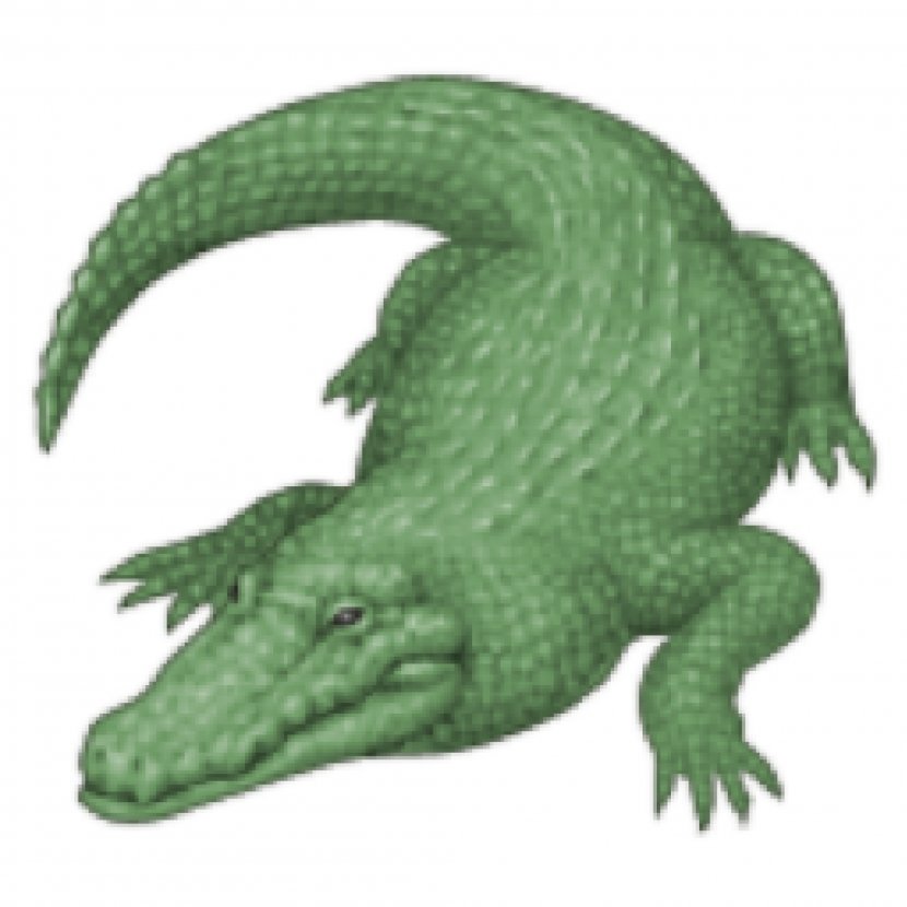 Crocodile Alligator IPhone Emoji Quiz - Movie Transparent PNG