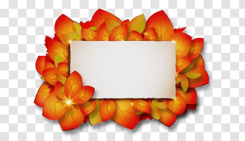 Flowers Background - Plant - Rectangle Transparent PNG